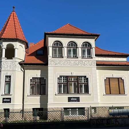 Vila Marioara سيبيو المظهر الخارجي الصورة